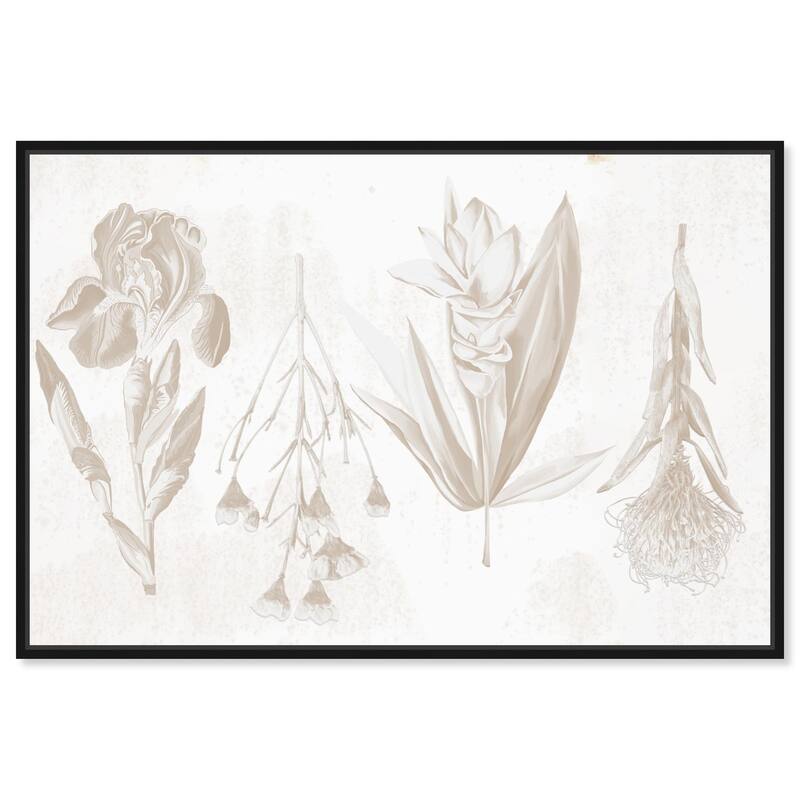 White Pressed Flora Canvas by Art Remedy - Black - 30" x 20"