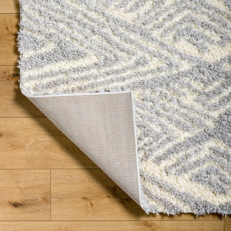 Chambers Shag Area Rug
