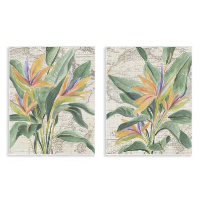 Stupell Flowers over Vintage Map Wall Plaque Art Design By June Erica Vess (Set of 2)