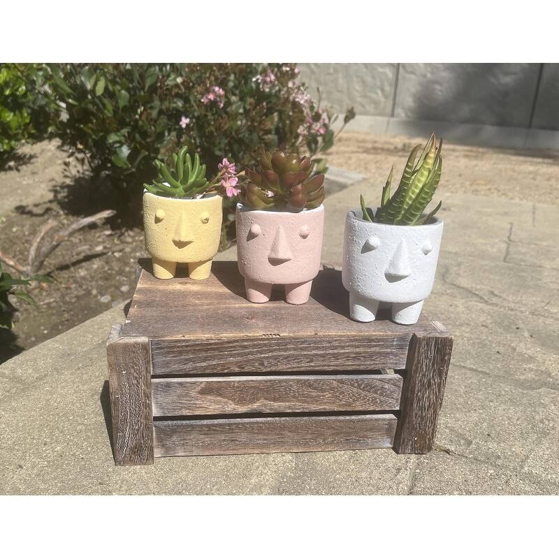 Modern Cement Decorative Human Face Planter Set