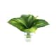 Hosta Arrangement in a Clear Glass Vase - Green - On Sale - Bed Bath ...