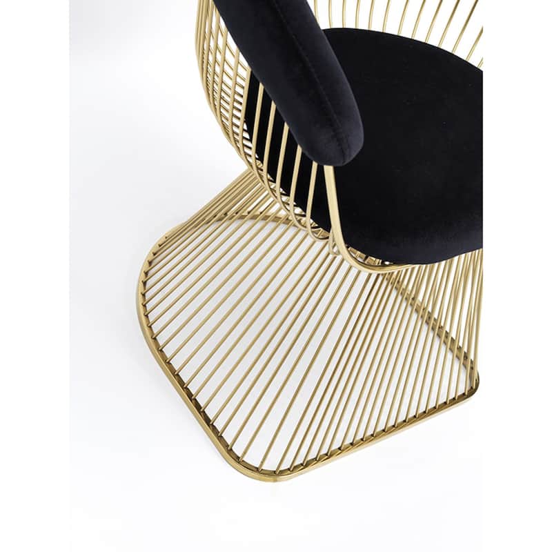 Modrest Chandler Black Velvet & Gold Dining Chair