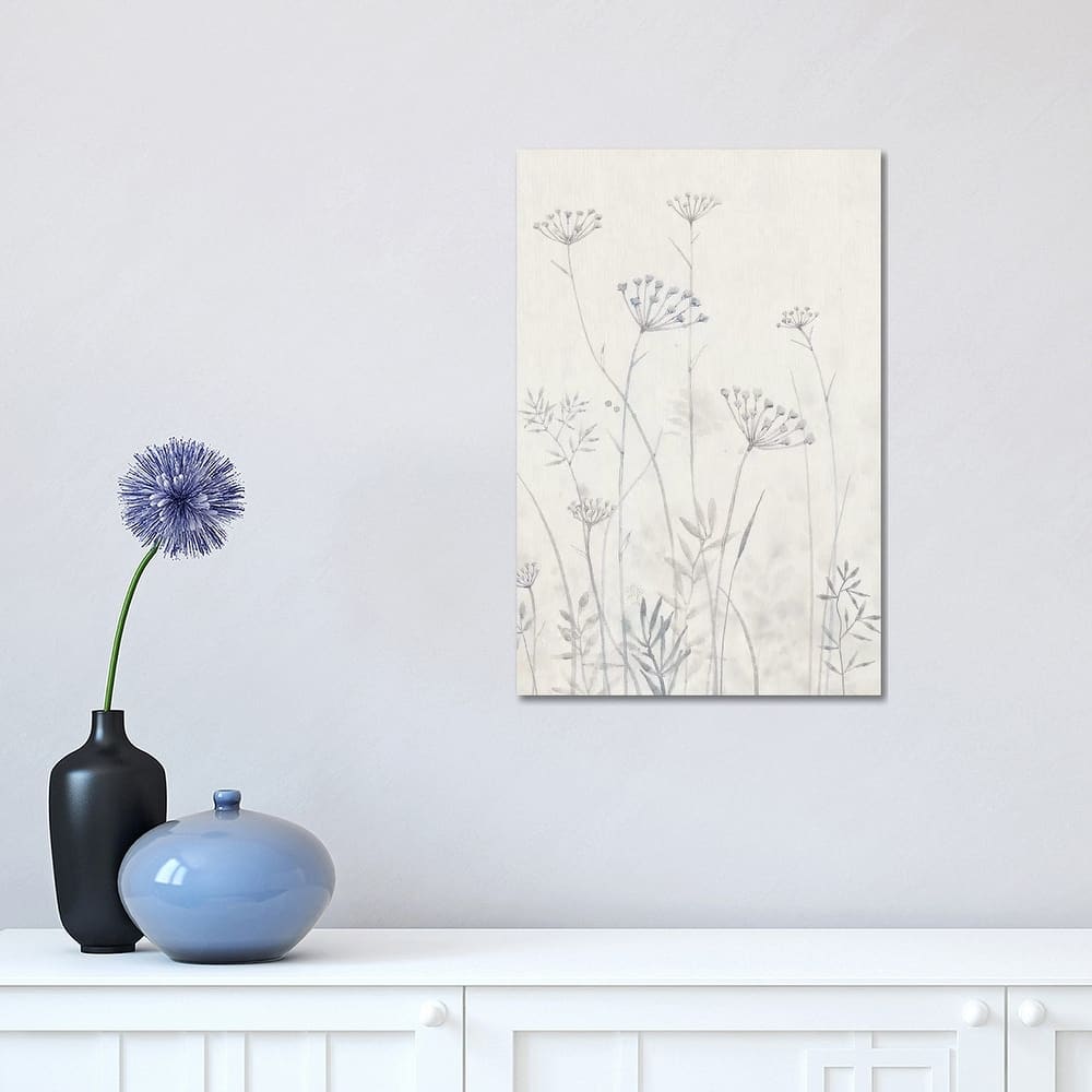 iCanvas "Neutral Queen Anne's Lace I" by Tim OToole Canvas Print