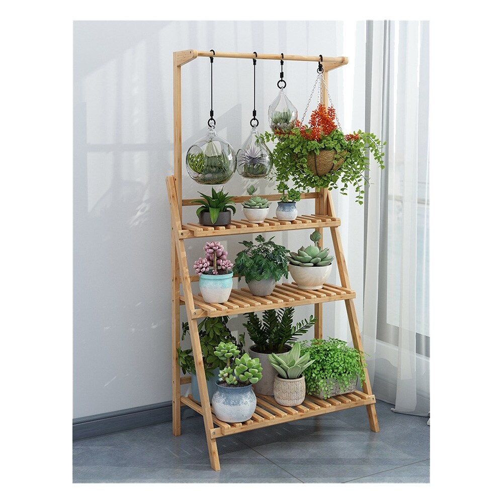money tree pot size Buy Skyrocket Money Tree - Tall Vertical Plant main image 0