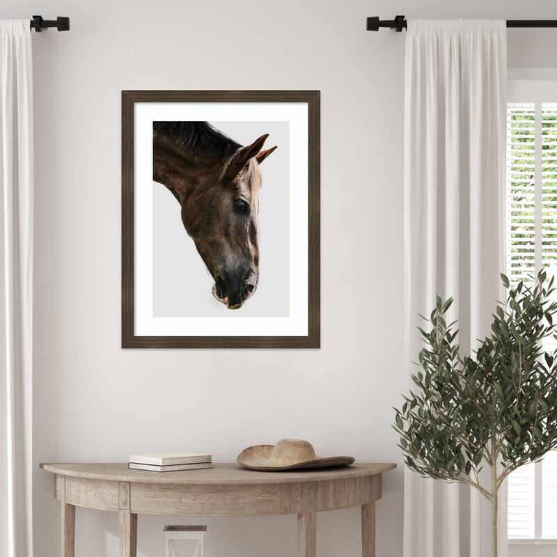 Majestic Equine Gaze by Shot by Clint Wood Framed Wall Art Print