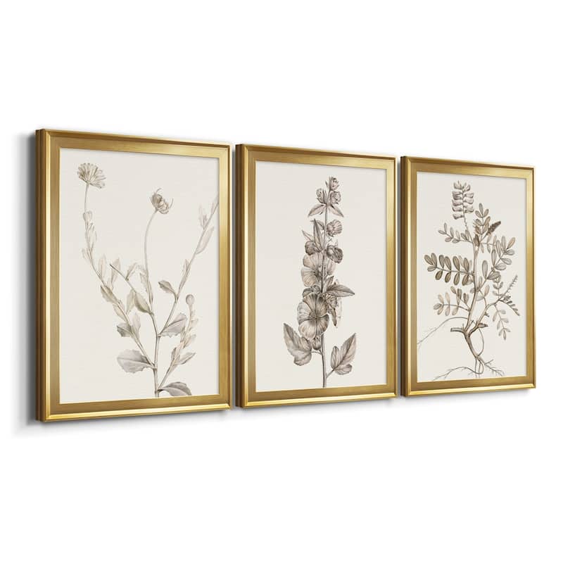 Neutral Botanical Study IV Premium Framed Canvas - Ready to Hang - Multi-Color