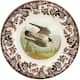 Option Peregrine Falcon