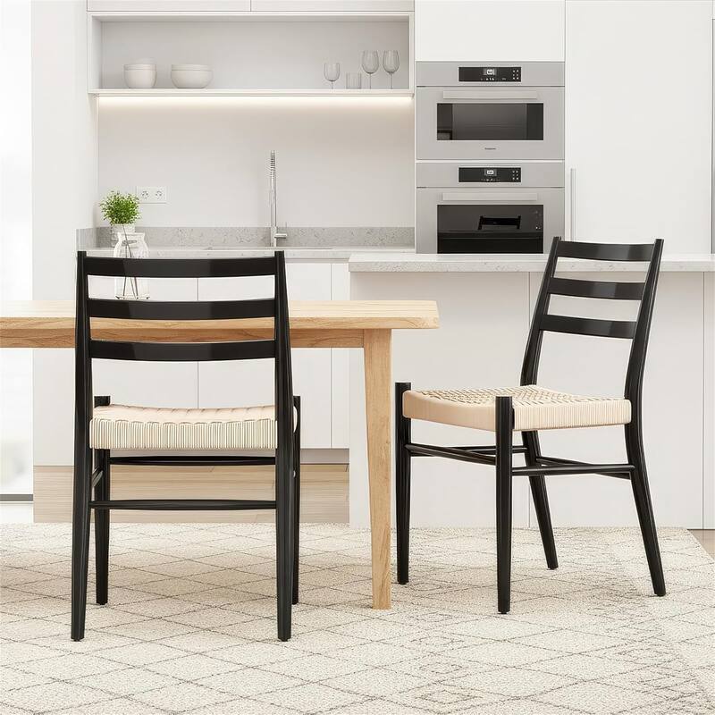 Set of 2 Mid Century Modern Dining Room Chairs