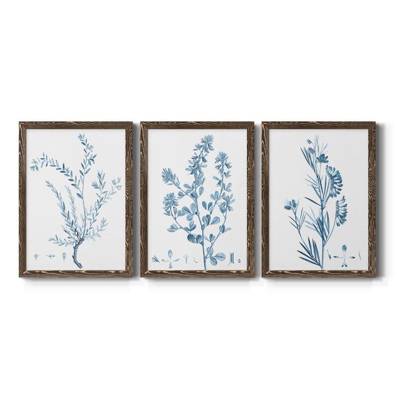 Antique Botanical in Blue VII-Premium Framed Canvas - Ready to Hang - Multi-Color