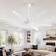 Option White