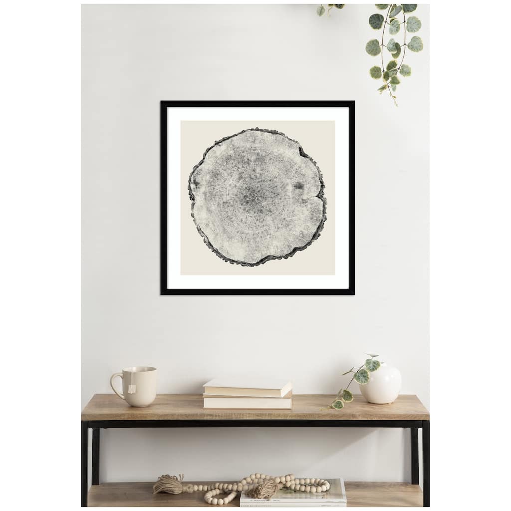 Kate and Laurel Tree Rings No. 1 by Emiko and Mark Franzen F2 Images Framed Wall Art Print