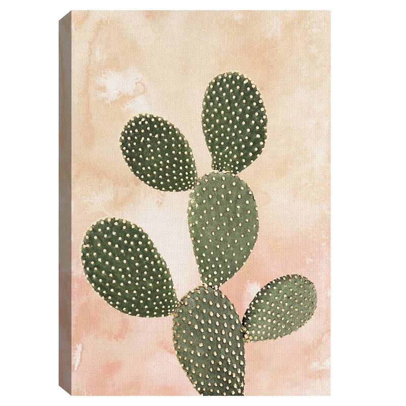 Desert Wash Coral I by Belle Maison Canvas Art Print