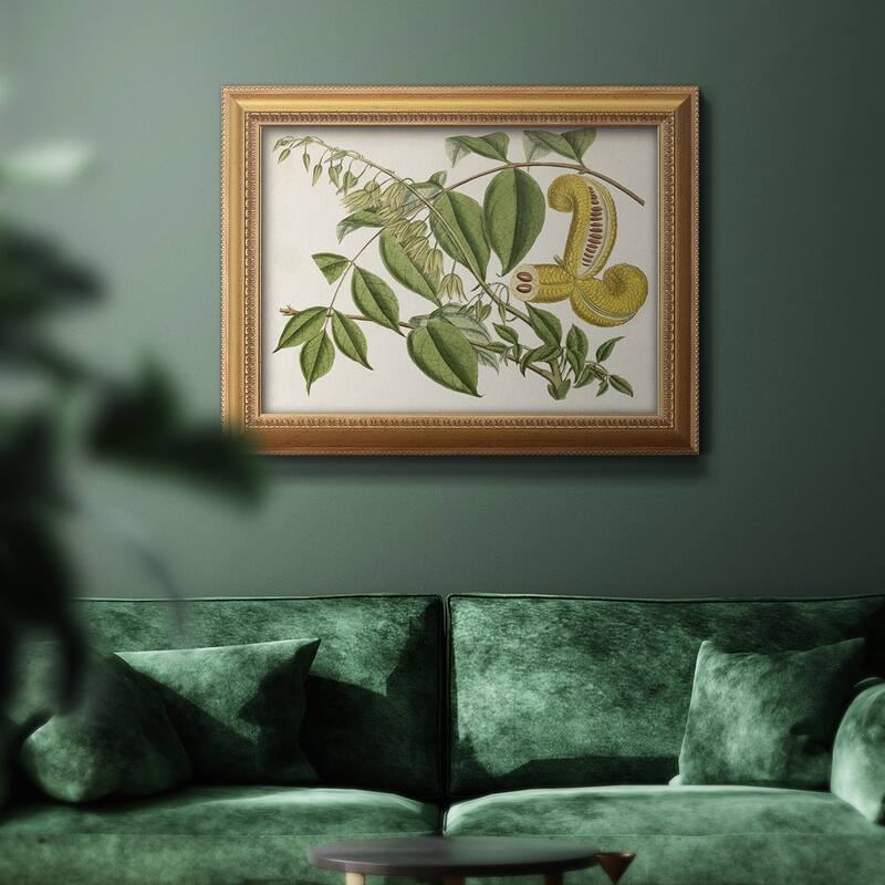 Tropical Foliage & Fruit I Premium Framed Canvas- Ready to Hang