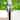 VAXCEL Yosemite 1L Bronze Rustic Outdoor Tree Post Light White Glass - 8-in W x 14-in H x 8-in D