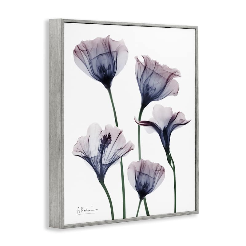 Stupell Subtle Fresh Flowers Framed Giclee Art Design By Albert Koetsier