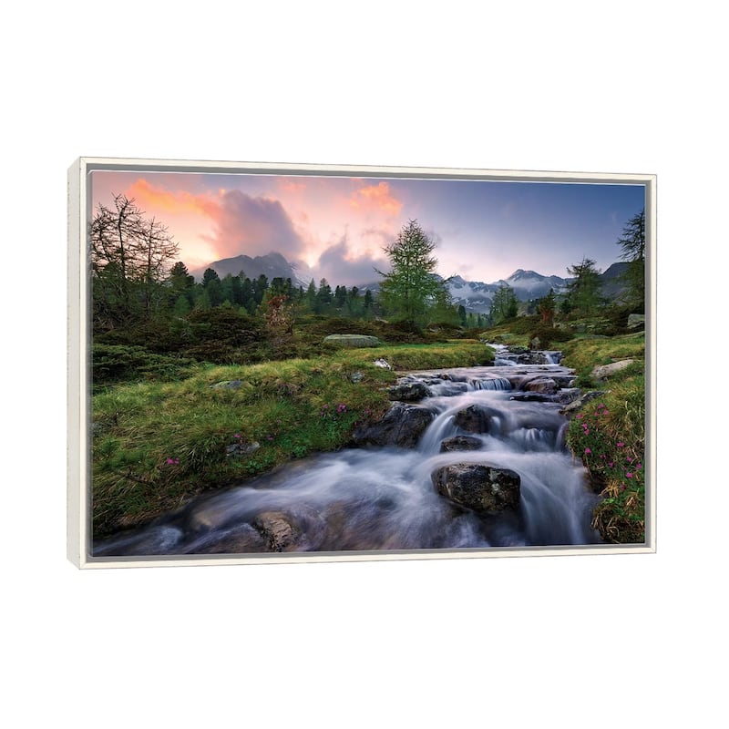 "Wild Paradise" by Stefan Hefele Framed