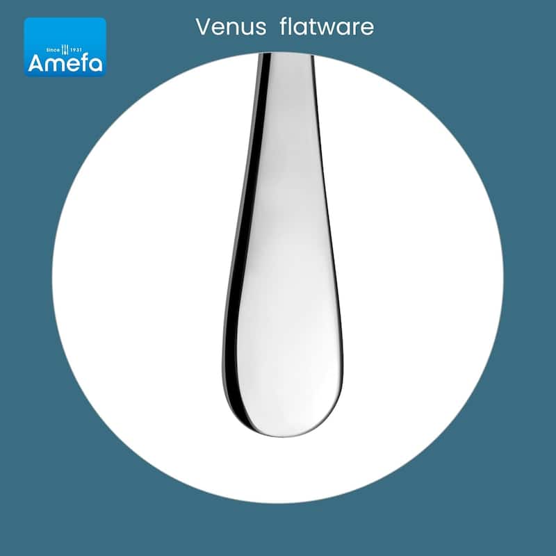 Amefa Venus 20 Piece 18/10 Stainless Steel Flatware Set