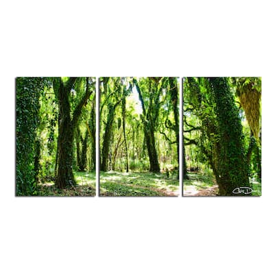 Ready2HangArt 'Mystic Forest' 3-Piece Wrapped Canvas Wall Art Set