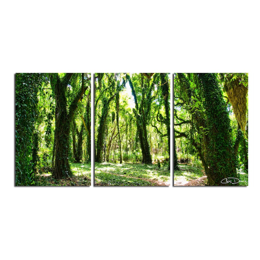 Ready2HangArt 'Mystic Forest' 3-Piece Wrapped Canvas Wall Art Set