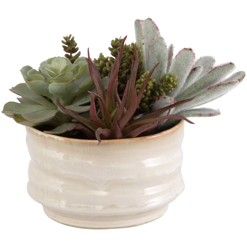 Uttermost 60209 Mesa Succulent 8-1/2" Tall Ceramic Faux Flora Planter - Tan - Tan