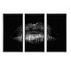 preview thumbnail 11 of 12, Designart "Sexy Golden Metallized Female Lips I" Modern Framed Canvas Wall Art Set of 3 - 4 Colors of Frames