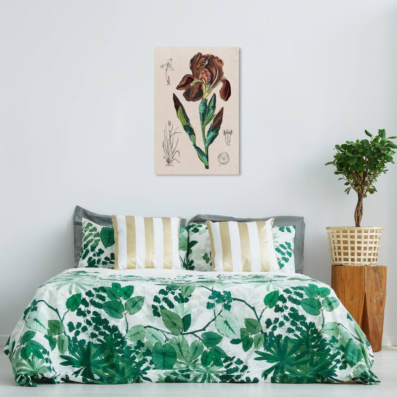 Wynwood Studio Canvas Floral and Botanical Floral Diagram III Brown and Traditional Wall Art Canvas Print - 36 x 24