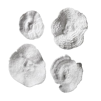 Uttermost Sea Coral Four Piece Wall Sculpture Set by Grace Feyock