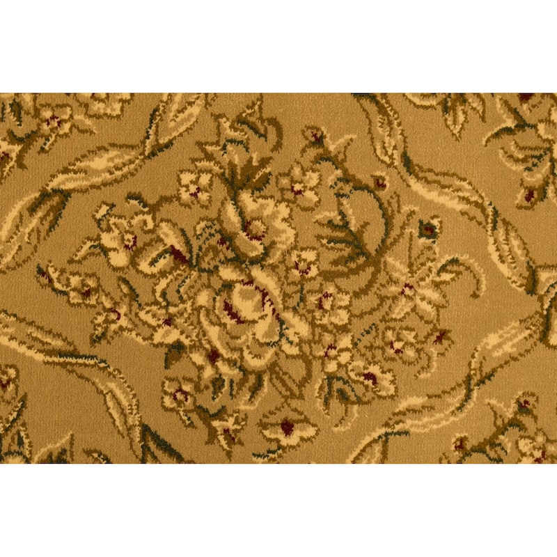 Dynamic Rugs Legacy Traditional Area Rug