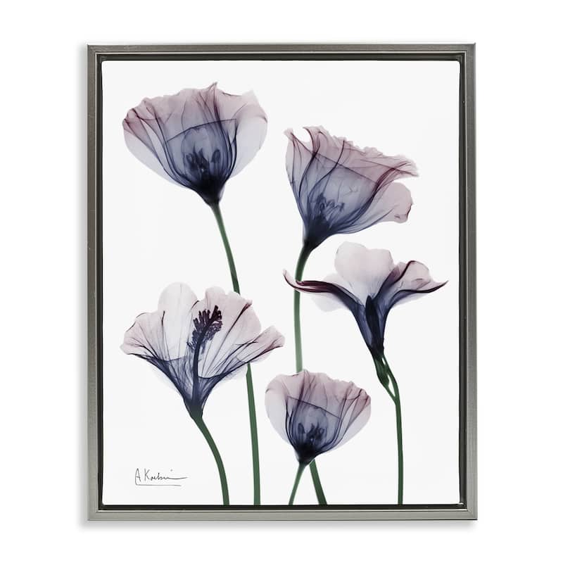 Stupell Subtle Fresh Flowers Framed Floater Canvas Wall Art Design By Albert Koetsier - 17 x 21 - Grey