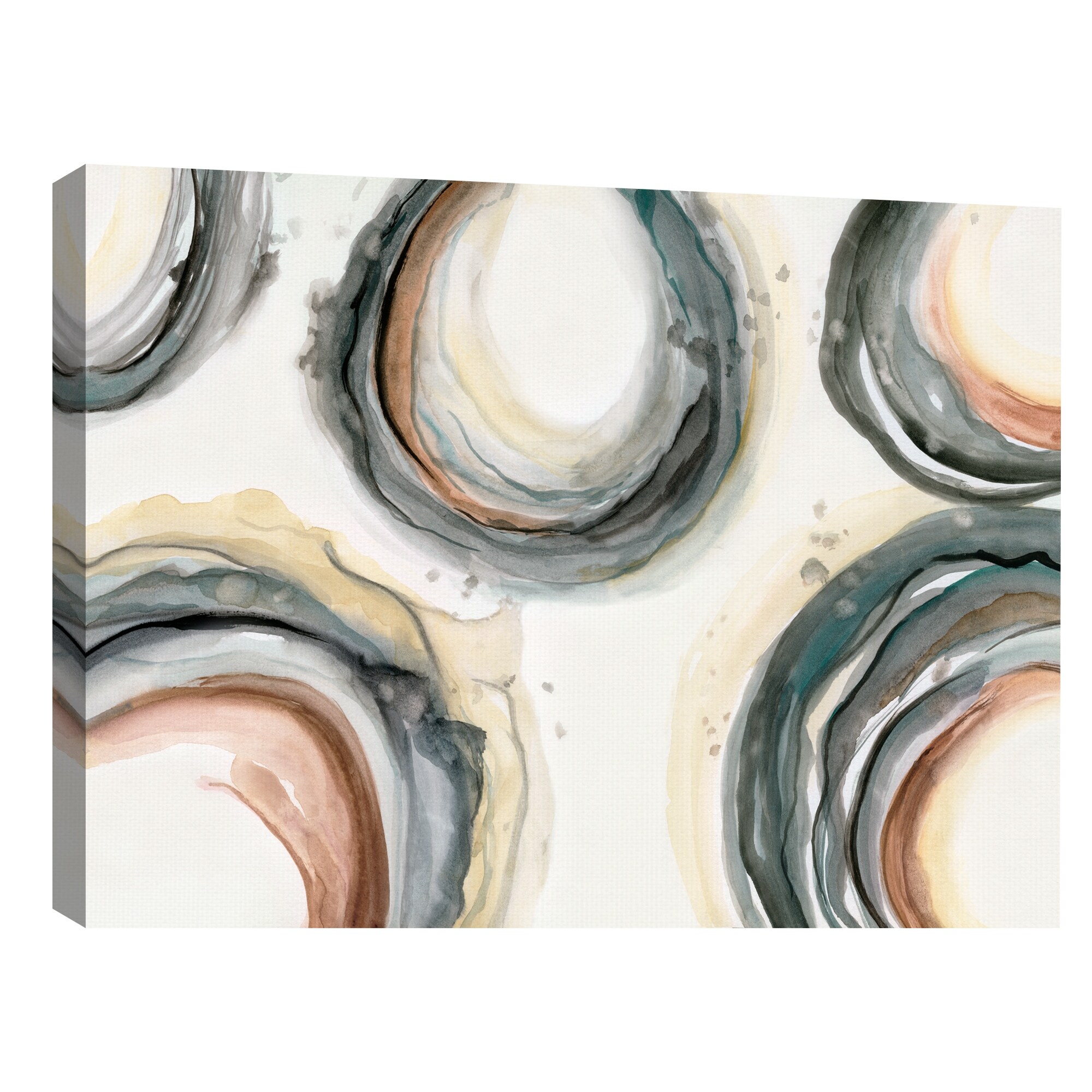Elasticity by Nan Canvas Art Print
