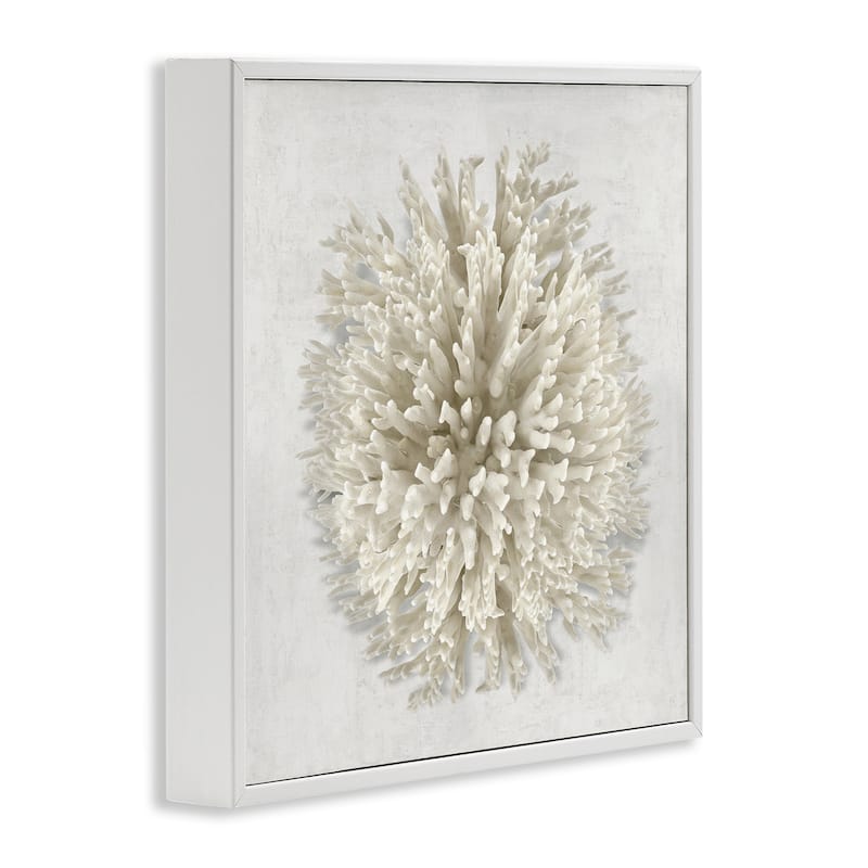 Stupell Natural Round Coral Framed Giclee Art Design By Caroline Kelly