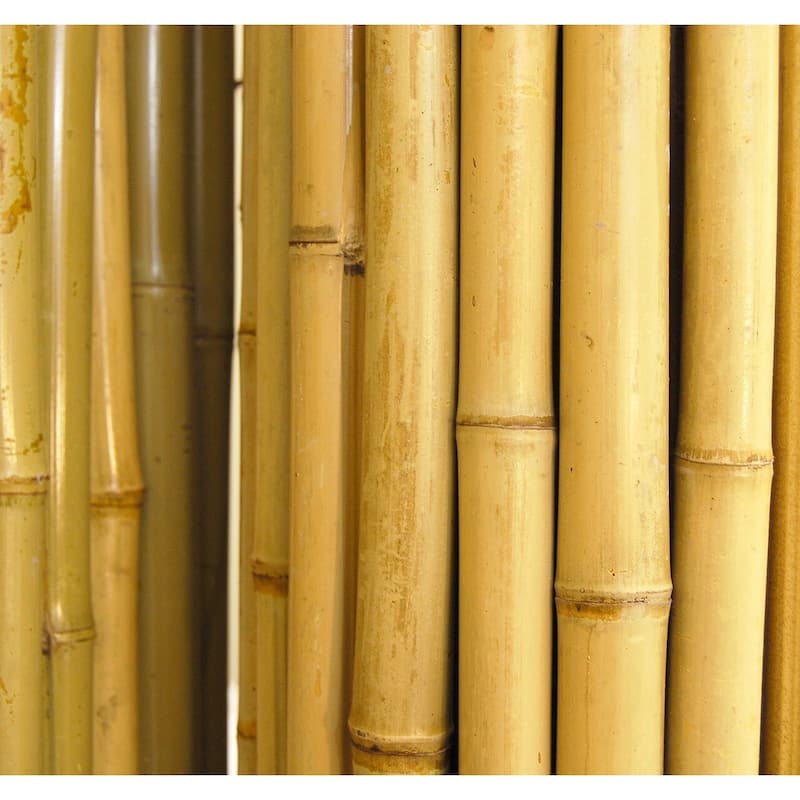 Natural Bamboo Fencing Rolled Fence Panel Patio Privacy Screen