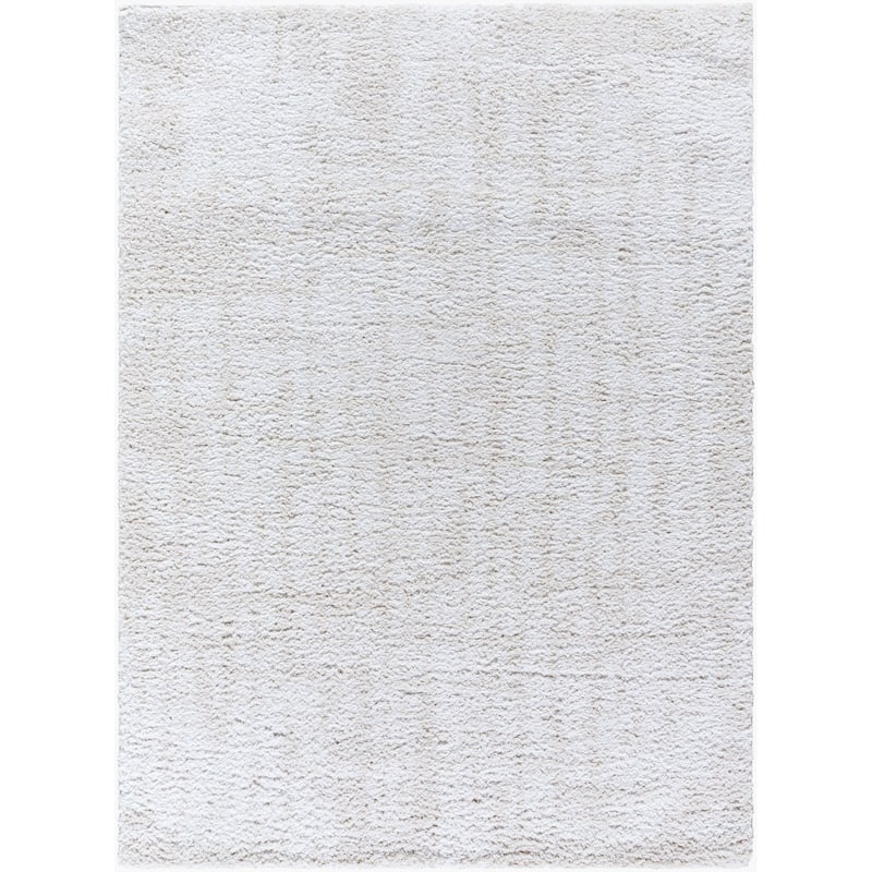 Livabliss Bohemian & Eclectic Sacramento Shag Ombre Area Rug