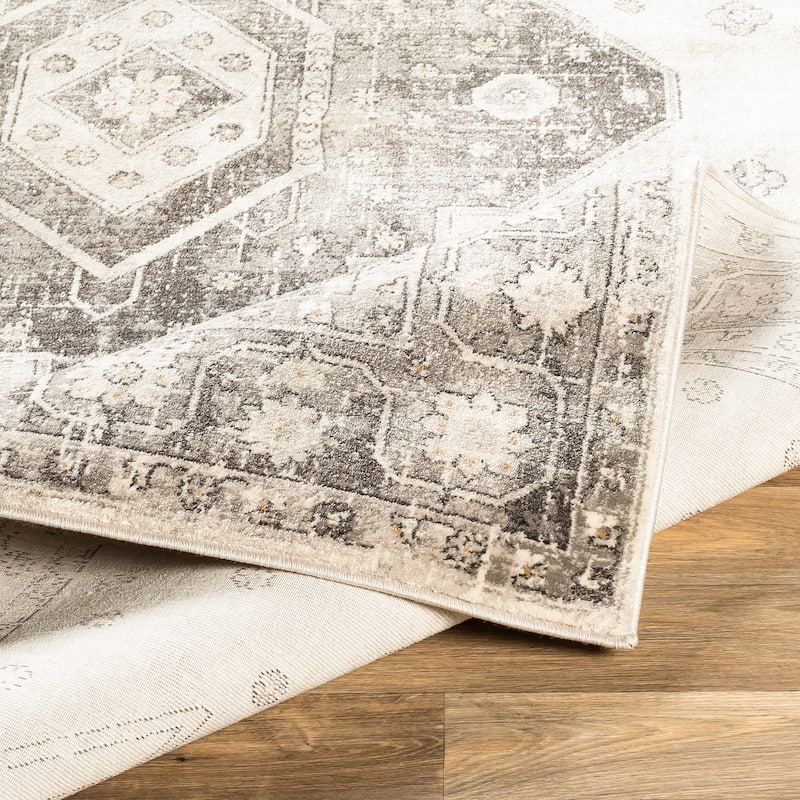Artistic Weavers Suzy Bohemian Nomad Medallion Area Rug