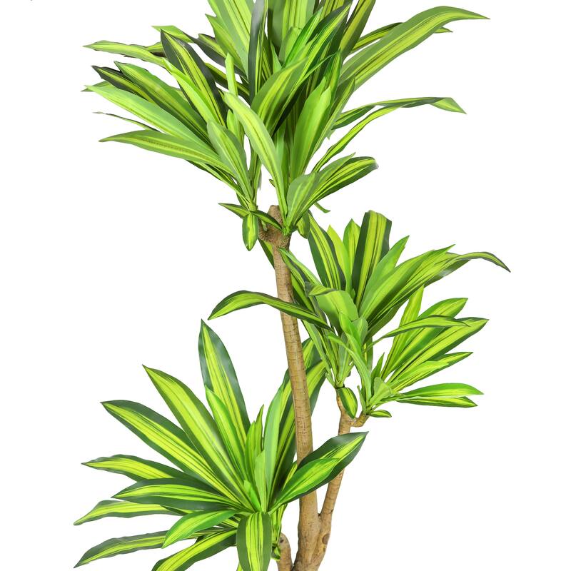 6ft Real Touch Artificial Dracaena Tree Plant in Black Pot - 72" H x 30" W x 30" DP
