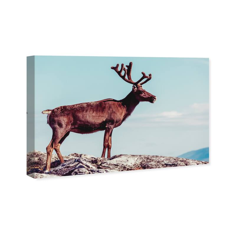Wynwood Studio Canvas Animals In Its Own Habitat Blue and Light Blue Rustic Wall Art Canvas Print