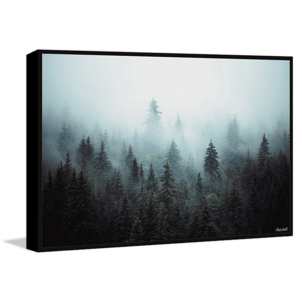 Foggy Pine Forest Floater Framed Print on Canvas