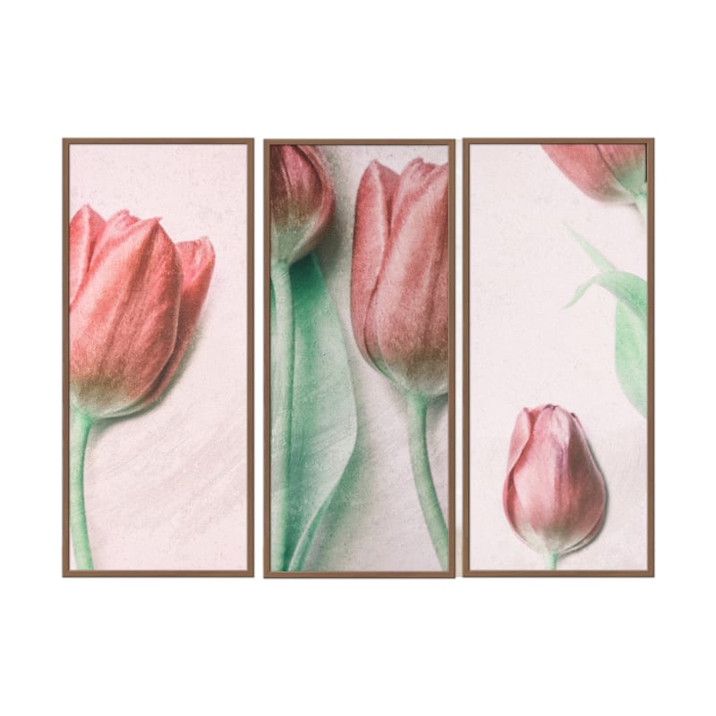 "Red Elegance" Framed 3-Piece Wall Art Set by Delphine Devos
