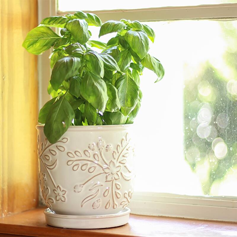 Southern Patio Venice White Ceramic 8.1-inch Planter (Pack of 2)