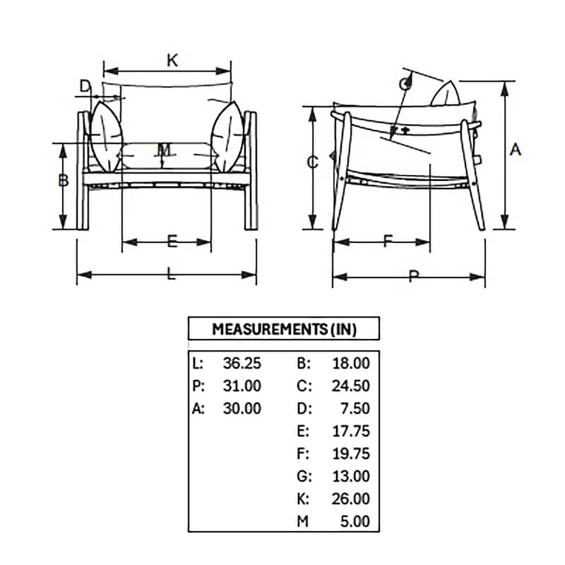 Modern Brazilian - Hara - Accent Chair - Harvest Natural Upholstery - Nozes Frame