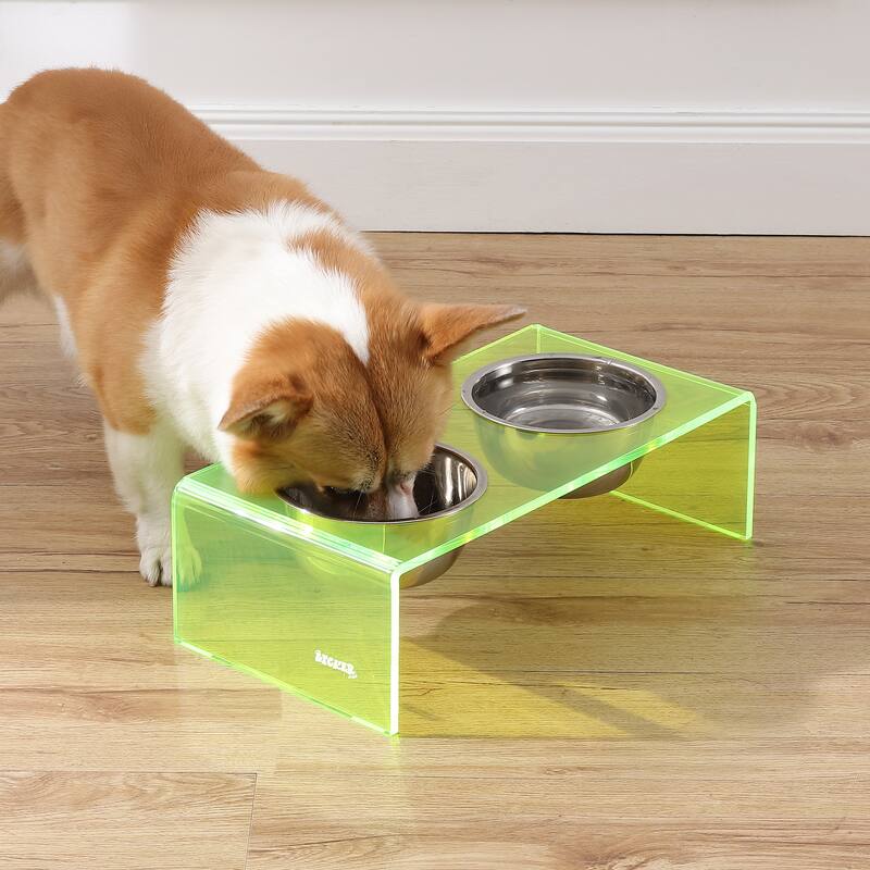Keaton 5" Small/Medium Modern Lucite Rectangular Elevated Pet Feeder with 20oz 2-Stainless Steel Bowls