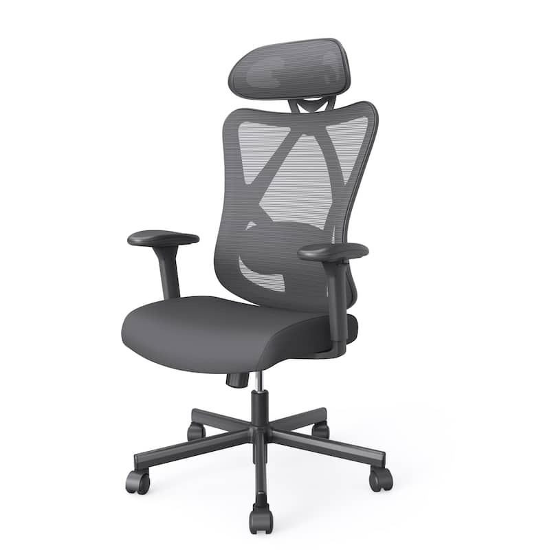 Mcintosh Contemporary Ergonomic Height Adjustable Desk Chair by Furniture of America - Black