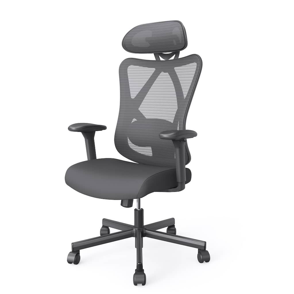 Mcintosh Contemporary Ergonomic Height Adjustable Desk Chair by Furniture of America