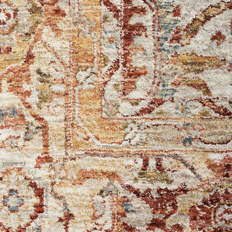 Nourison Petra Traditional Persian Medallion Border Area Rug