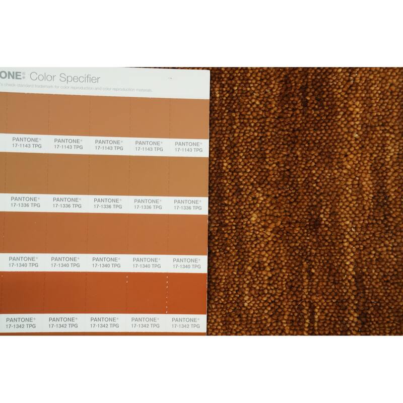 Hand Knotted Oriental 100% Wool Carpet Tribal Animal Pictorial Oranges & Rust Gabbeh Area Rug - 8' 0'' X 8' 2''