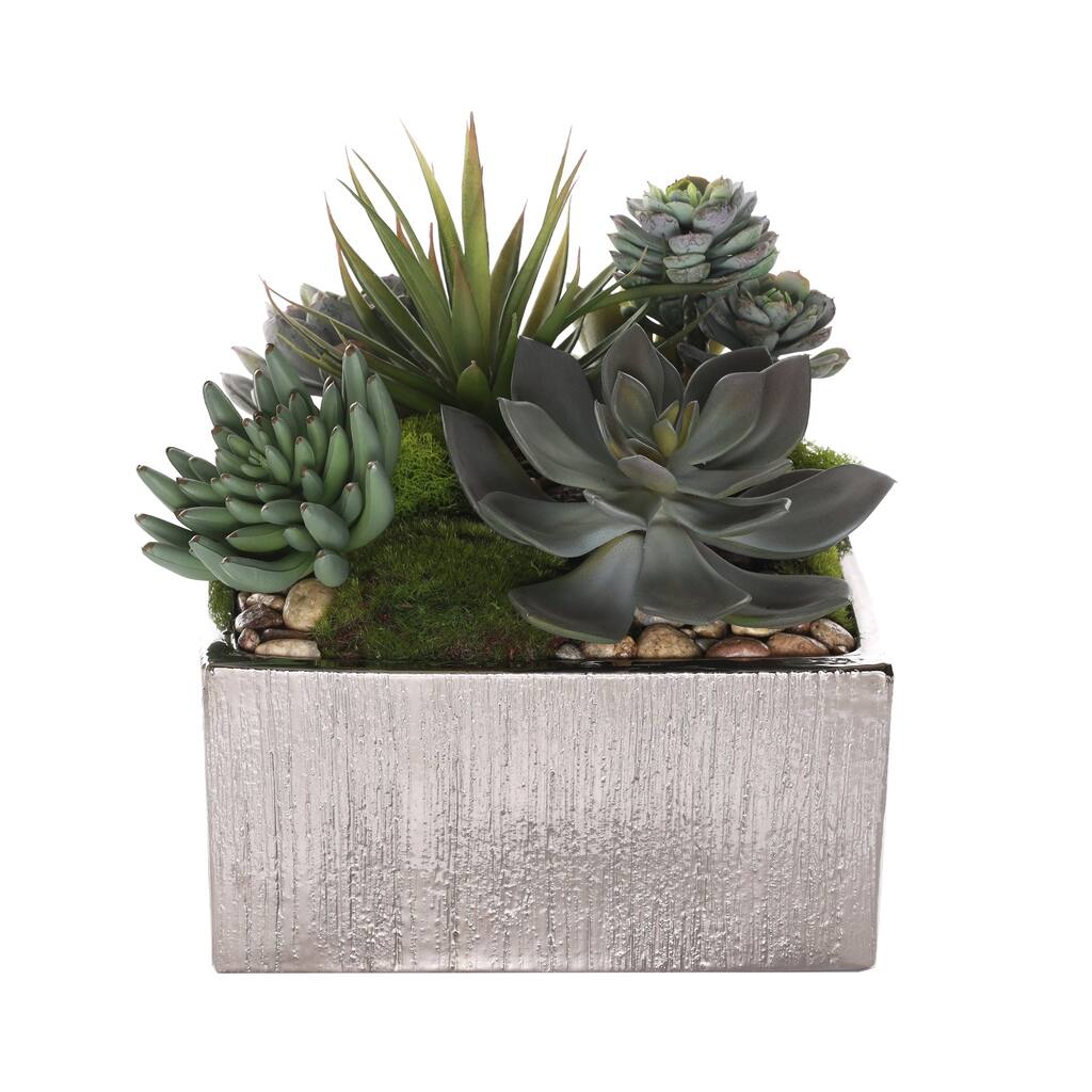 Succulent Arrangement with rocks in Square Etched Silver Pot - Green, green gray