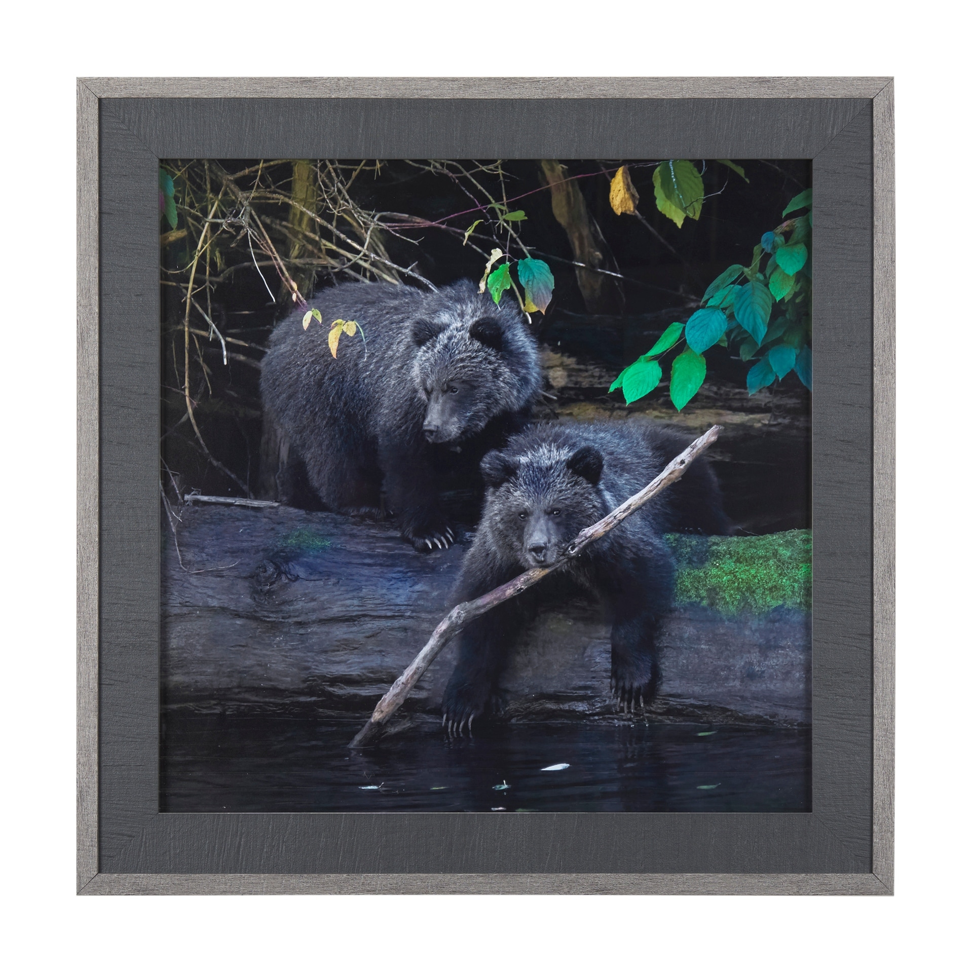 Mercana Playing Bears by Chad Mackay a Hand Embellished Textured Framed Photo Art Print Matted under Glass