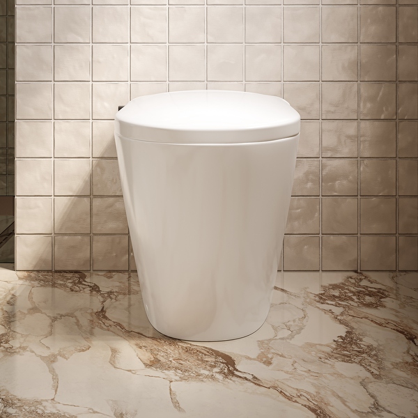 (Ｔ＿Ｔ) Hugo Tankless Toilet 12