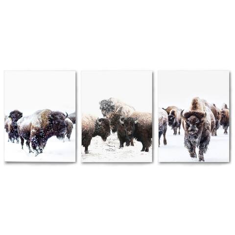 Canvas Triptych Yellowstone Bison by Tanya Shumkina - 3 Piece Art Set