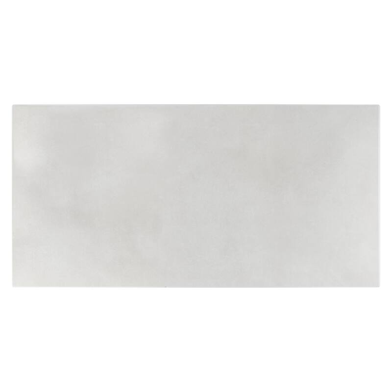 Construct 12 in. x 24 in. Glazed Porcelain Wall and Floor Tile
